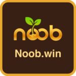 Noobwin