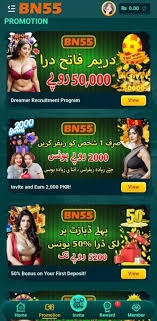 bn55 game