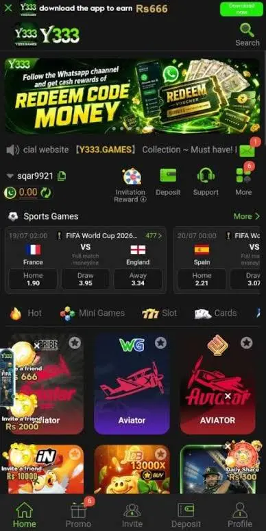 Y333 Game