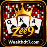 Zee9 Game APK